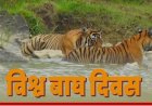 विश्व बाघ दिवस: बाघ संरक्षण में भारत बना दुनिया का अग्रणी देश