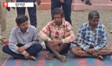 सूरजपुर में वन्यजीव अपराध पर बड़ी कार्रवाई, बाघ की खाल के साथ तीन संदिग्ध हिरासत में