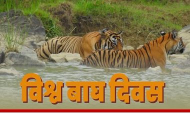 विश्व बाघ दिवस: बाघ संरक्षण में भारत बना दुनिया का अग्रणी देश