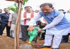 मुख्यमंत्री विष्णुदेव साय ने अपनी माँ के नाम पर लगाया पीपल का पौधा, वन महोत्सव-2026 का हुआ शुभारंभ