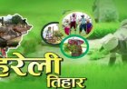 हरेली पर नवा रायपुर में जुटेगा छत्तीसगढ़ का शीर्ष नेतृत्व, CM साय समेत दिग्गज होंगे शामिल; ‘हरेली अऊ गृह प्रवेश’ का भव्य आयोजन