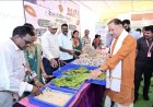 ‘रेशम से रोशन जशपुर’ की शुरुआत, टसर उत्पादन में प्रदेश में जिला अव्वल