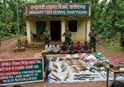 BREAKING NEWS  : इंद्रावती टाइगर रिजर्व से छह शिकार संदिग्ध गिरफ्तार, वन्यजीव मांस और सामग्री जब्त