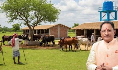 प्रदेश में 1460 गौधामों की होगी स्थापना, 88 गौधामों का पंजीयन पूर्ण