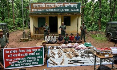 BREAKING NEWS  : इंद्रावती टाइगर रिजर्व से छह शिकार संदिग्ध गिरफ्तार, वन्यजीव मांस और सामग्री जब्त