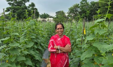 बिहान से बहनों को मिला आर्थिक संबल, खीरे की खेती से सुभद्रा मंडल ने लिखी आत्मनिर्भरता की नई कहानी