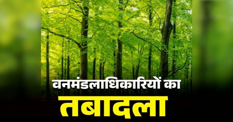 छत्तीसगढ़ में 24 IFS अधिकारियों के तबादले, रायपुर सहित कई जिलों में बदले DFO, देखें किसे मिली कहां की जिम्मेदारी