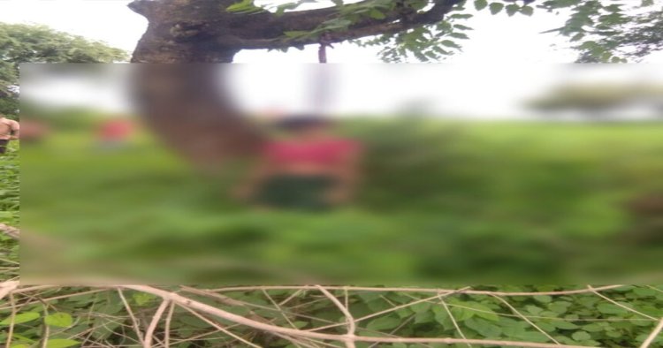 CG : जंगल में युवती का शव मिलने से मचा हड़कंप, पेड़ पर लटका मिला शव, जांच में जुटी पुलिस