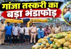 CG- गांजा तस्करी का बड़ा खुलासा: पिकअप में छिपाकर ले जा रहे थे करोड़ों का माल, 4.69 करोड़ की खेप के साथ 6 तस्कर गिरफ्तार…