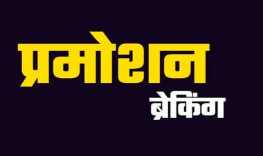 ब्रेकिंग : नायब तहसीलदारों को मिला प्रमोशन…बनाए गए तहसीलदार,देखें पूरी लिस्ट…!!