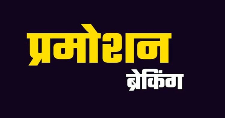 ब्रेकिंग : नायब तहसीलदारों को मिला प्रमोशन…बनाए गए तहसीलदार,देखें पूरी लिस्ट…!!