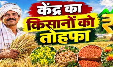 रबी फसलों के MSP में बढ़ोतरी, दलहन-तिलहन पर सरकार का खास जोर