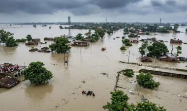 बिहार में बाढ़ से 10,671 करोड़ का नुकसान, 82 हजार हेक्टेयर में फसल बर्बाद; 26 लोगों की मौत